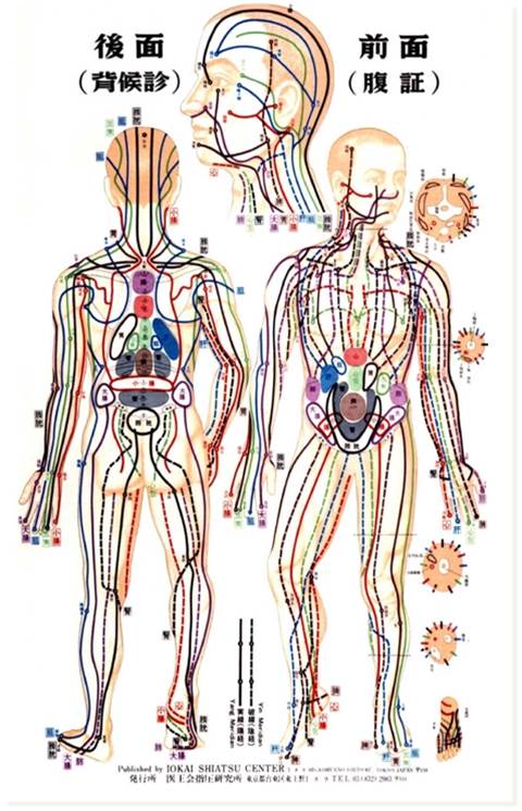 Das Meridiansystem des Menschen
